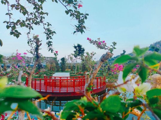 điện mặt trời